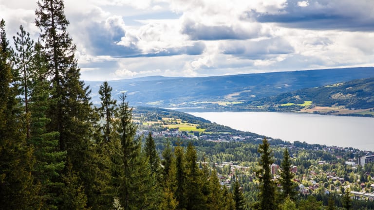 bilde av trær hvor en kan skimte lillehammer og innsjøen i bakgrunnen